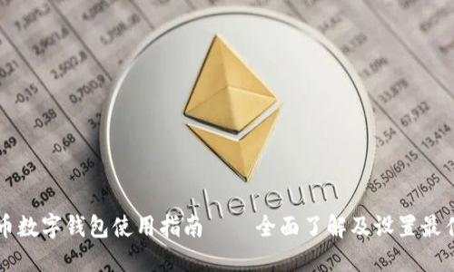 虚拟币数字钱包使用指南——全面了解及设置最佳实践