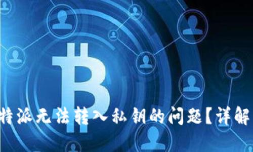 如何解决B特派无法转入私钥的问题？详解与解决方案