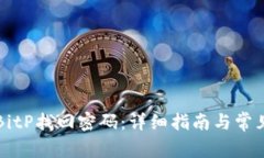 如何通过BitP找回密码：详细指南与常见问题解析