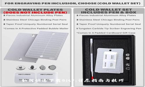 如何快速下载BitP：详尽指南与技巧