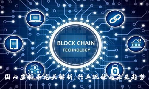 国内虚拟币龙头解析：行业现状与未来趋势