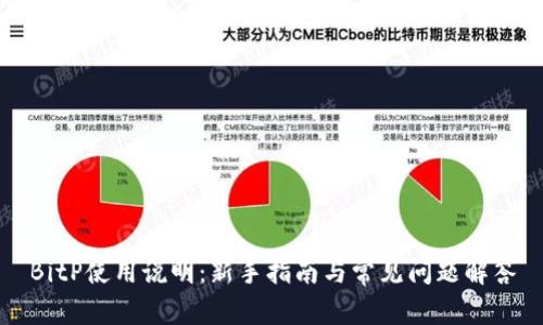 BitP使用说明：新手指南与常见问题解答