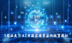 B特派是什么？中国品牌背后的故事揭秘