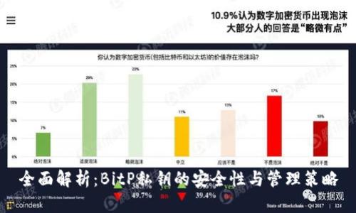 全面解析：BitP私钥的安全性与管理策略