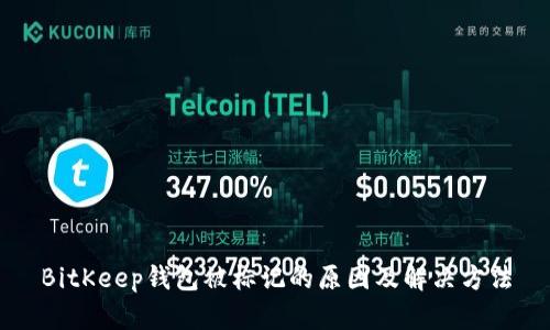 BitKeep钱包被标记的原因及解决方法