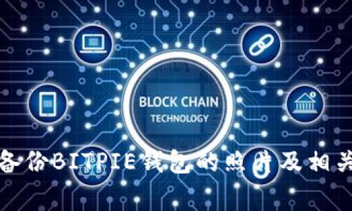 如何有效备份BITPIE钱包的照片及相关注意事项