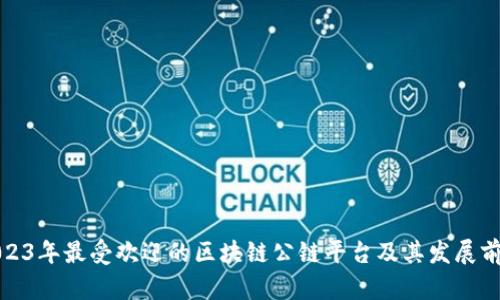 2023年最受欢迎的区块链公链平台及其发展前景