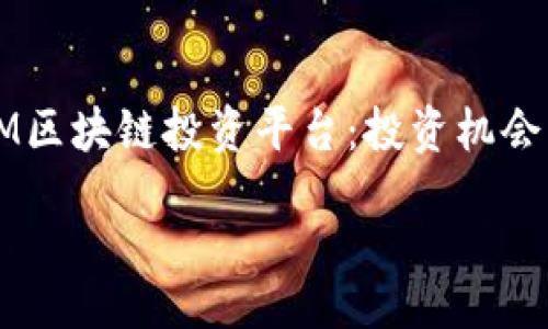 《全面解析17M区块链投资平台：投资机会与风险分析》 

 