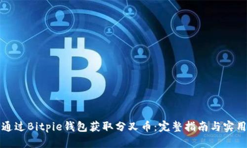 如何通过Bitpie钱包获取分叉币：完整指南与实用技巧