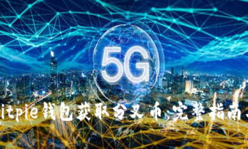 如何通过Bitpie钱包获取分叉币：完整指南与实用技巧