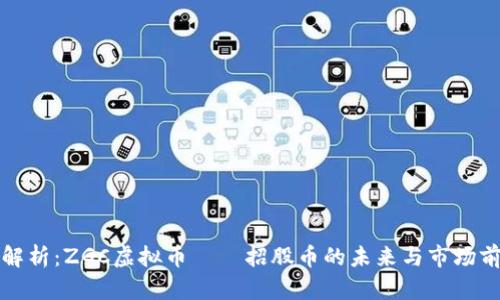 全解析：ZGC虚拟币——招股币的未来与市场前景