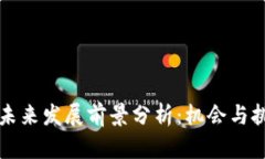 虚拟币未来发展前景分析：机会与挑战