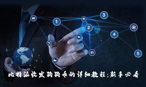 比特派收发狗狗币的详细教程：新手必看